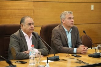 WhatsApp Image 2024-12-20 at 18.47.32.jpeg